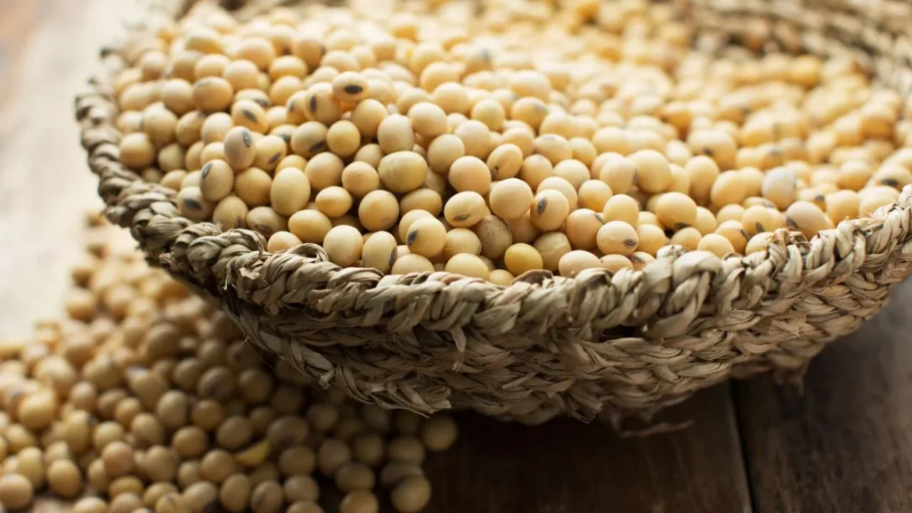 Close-up of soybeans in a woven basket.
