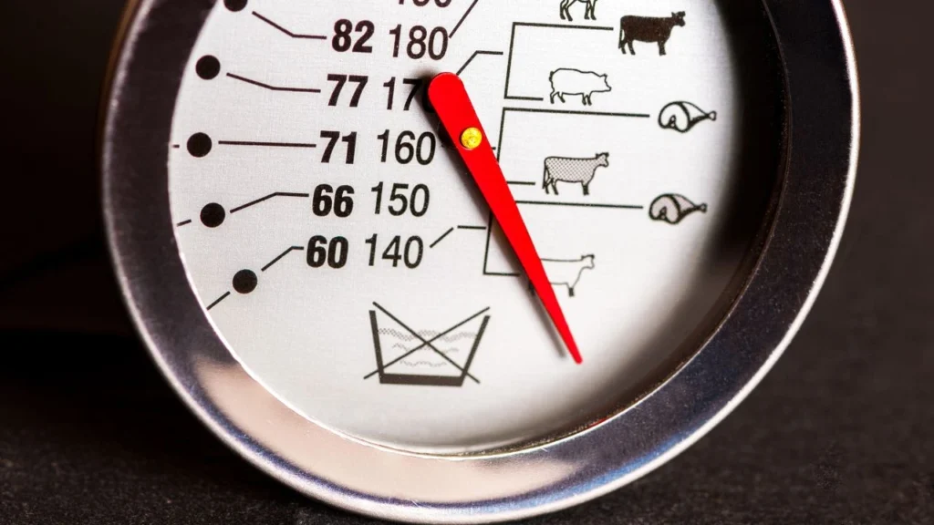 Thermometer for checking meat temperature