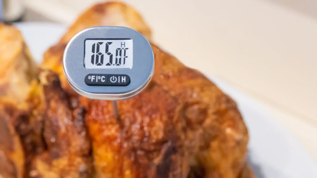 Thermometer inserted into turkey