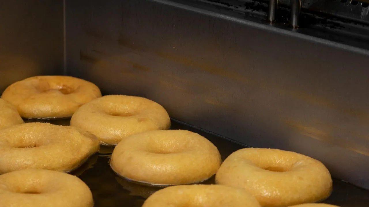 Freshly fried donuts demonstrating an efficient grease containment system.