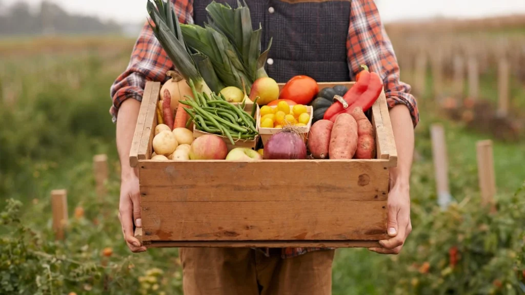 Farmer holds wooden crate filled with farm-to-table produce.