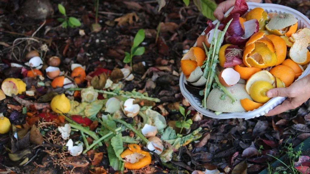 Food scraps being added to zero waste restaurant composting pile.