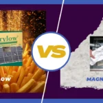 Frylow vs Magnesol comparison showing fries and oil powder filter