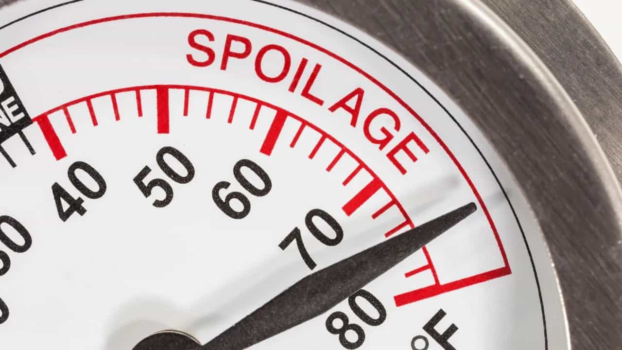 Close-up of thermometer indicating food spoilage risk